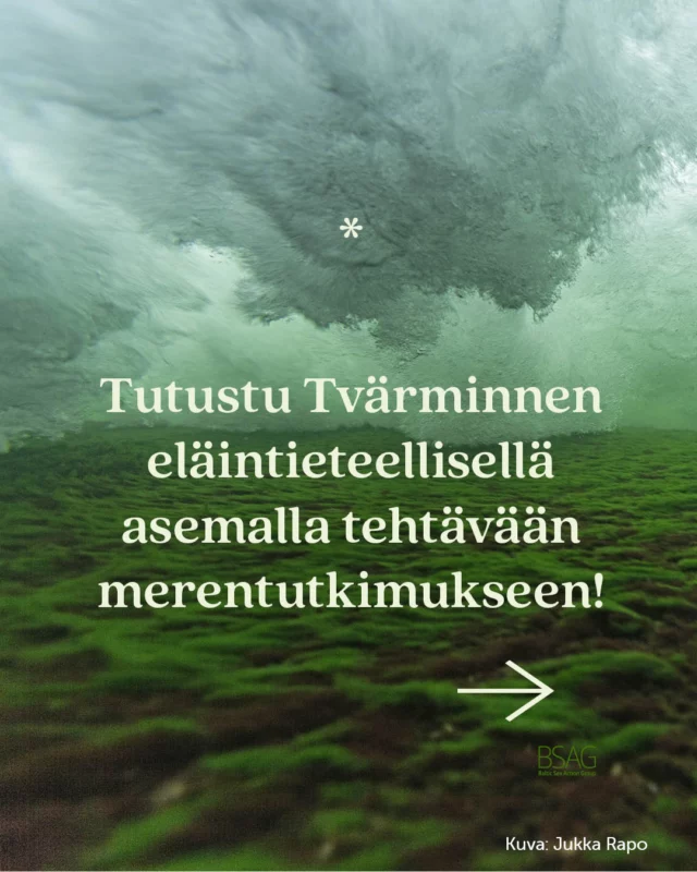 🌊 Tiedätkö, mitä meri merkitsee meille ihmisille ja miten me puolestamme vaikutamme maailman meriin? 

🐚 Merentutkimus voi auttaa meitä ymmärtämään ja ratkomaan ihmiskunnan suuria kriisejä: luontokatoa ja ilmastonmuutosta. Tutkittu tieto on tärkeää, mutta tietoa tulee myös välittää ihmisille ymmärrettävällä tavalla. 

🗝 Yhteiskunnallinen päätöksenteko pohjautuu relevanttiin tietoon. Jos haluamme lisätä tutkimustiedon vaikuttavuutta, tutkijoiden vastuulla on tutkimustulosten tuominen aktiivisesti julkiseen keskusteluun yleisen ymmärtämyksen lisäämiseksi. 

📚 Tiedon lisääminen vahvistaa merilukutaitoamme. Merilukutaito on ymmärrystä siitä, miten meri vaikuttaa meihin ihmisiin ja miten me vaikutamme mereen. Lisääntyvä ymmärrys meren merkityksestä edistää merten suojelua. Me ihmiset suojelemme mieluummin sellaisia asioita, joita ymmärrämme ja jotka ovat meille tuttuja.

💙 Tvärminnen eläintieteellisellä asemalla on tehty merentutkimusta yli 120 vuoden ajan. CoastClim-tutkimuskeskus yhdistää meriekologian ja merten biodiversiteetin tutkimuksen biogeokemia- ja ilmakehätutkimukseen tavalla, jota ei ole aiemmin käytetty Itämeren alueella tai maailmanlaajuisestikaan.

🔍 Väitöskirjatutkijat ovat keskeinen osa CoastClim-tutkimuskeskuksen tutkimustoimintaa. Tutkimusta tehdään esimerkiksi meren lämpöaaltojen vaikutuksista ekosysteemeihin, levien kyvystä sopeutua suolapitoisuuden muutoksiin ja ruovikoiden sekä matalien merenpohjien kyvystä varastoida hiiltä.

💙 Videoilla Tvärminnen väitöskirjatutkijat esittelevät tutkimusaiheitaan. Profiilistamme löydät linkin @tvarminnezoologicalstation tiedeviestijän @ilseklockars blogiin, jossa voit tutustua myös muihin Tvärminnen tutkijoihin!

#merentutkimus #tutkimus #Itämeri #meritietous #CoastClim #Tvärminne